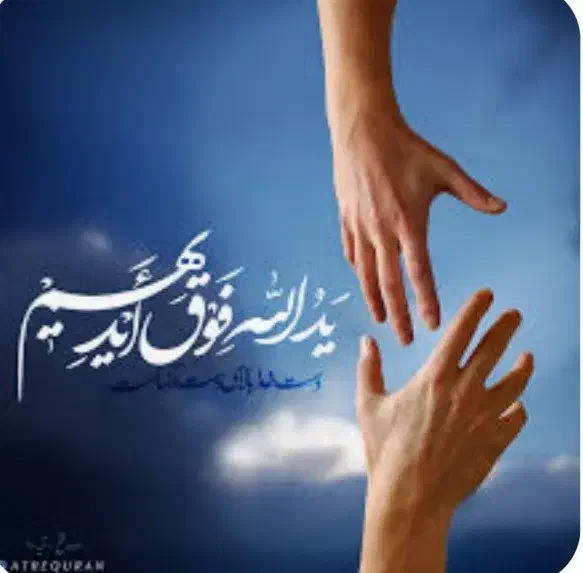 ضامن|فعالیت داوطلبانه تحقیقاتی|رشت, توشیبا|دیوار