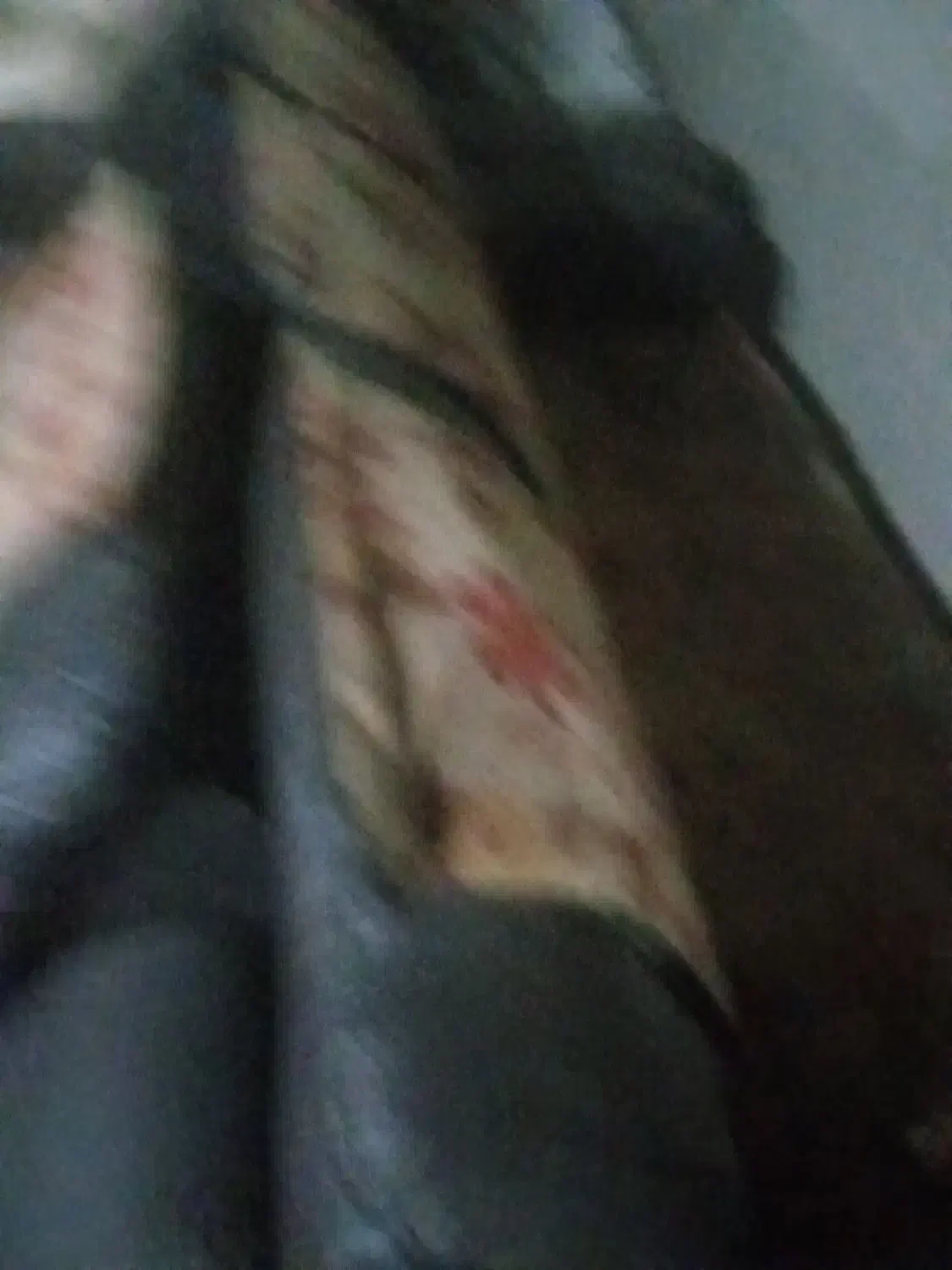 مبل فروشی|مبلمان خانگی و میز عسلی|نیشابور, دربقاضی|دیوار