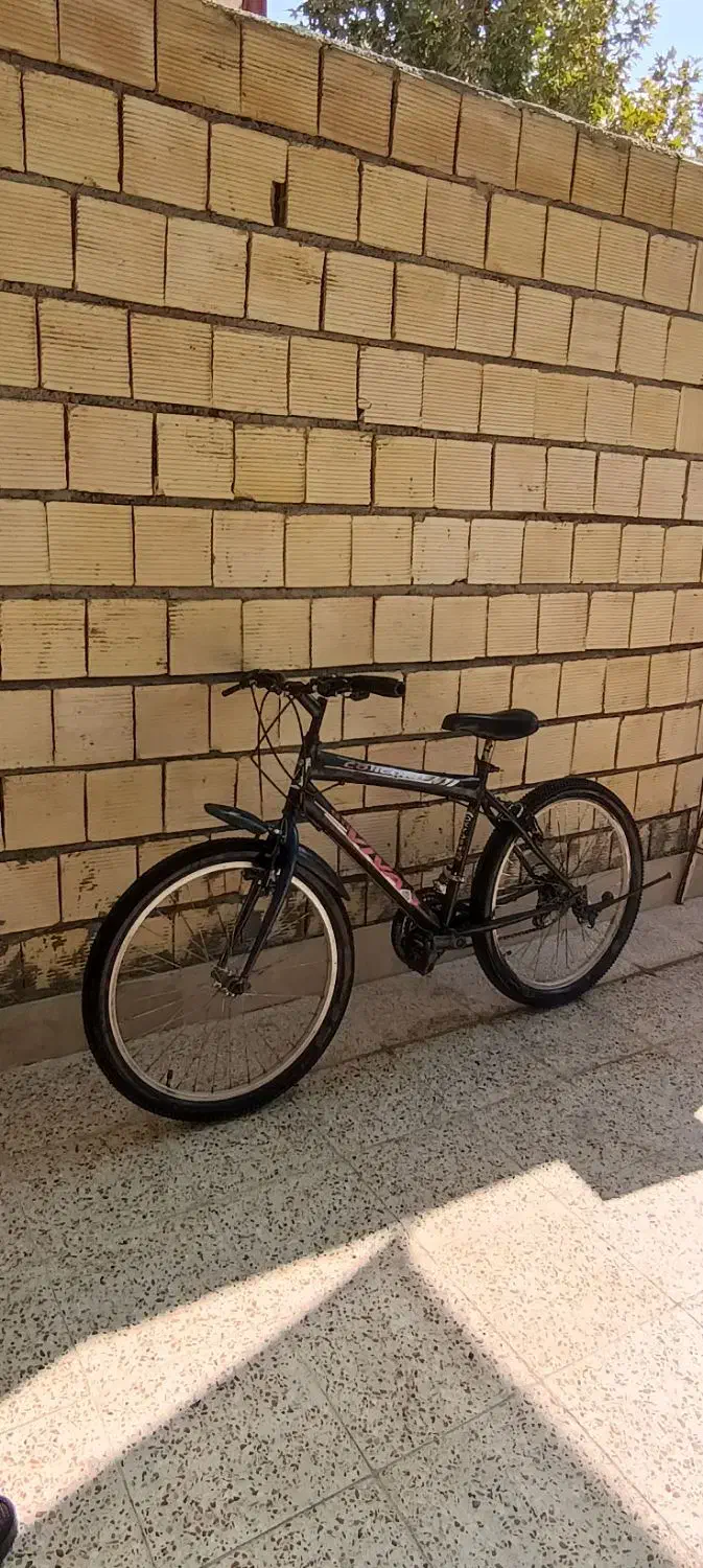 دوچرخه ۲۴|دوچرخه، اسکیت، اسکوتر|خرم‌آباد, |دیوار