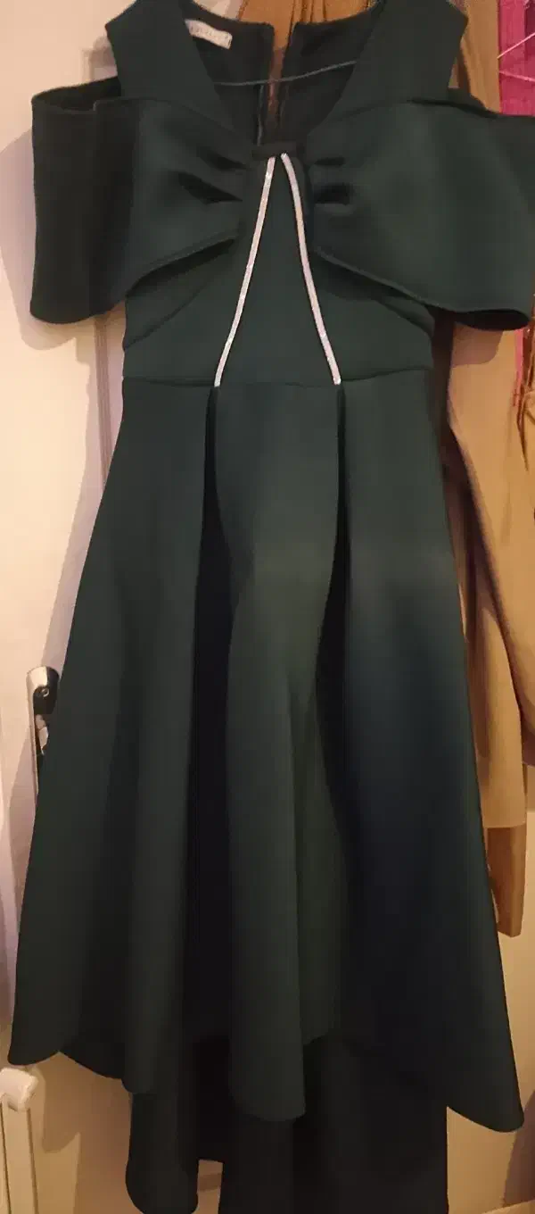 لباس مجلسی|لباس|فردیس, نسترن غربی|دیوار