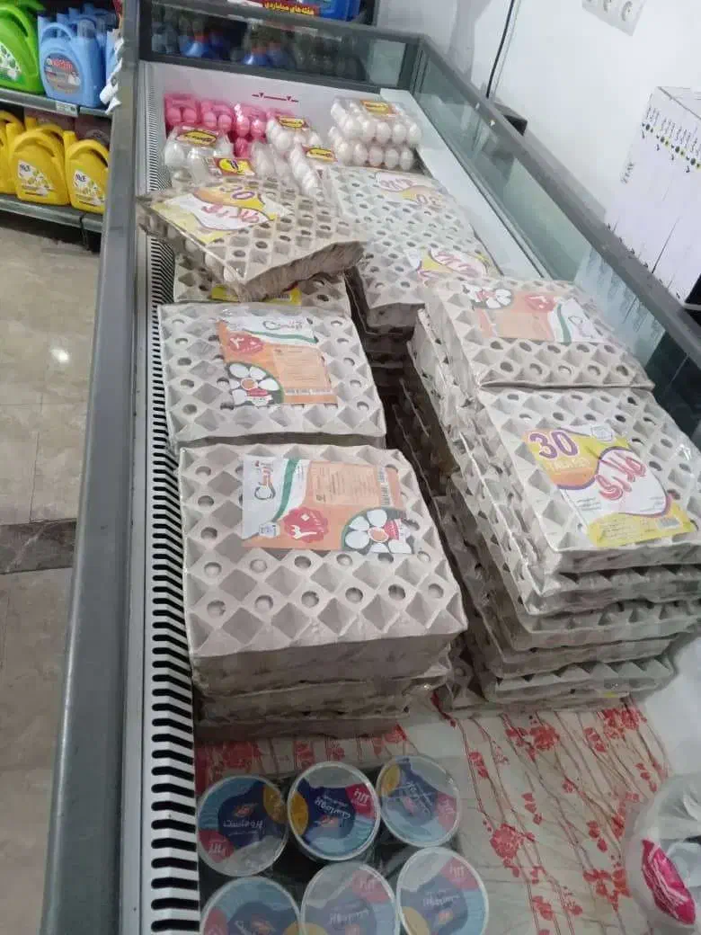 یخچال و فریزر مرغ و گوشت ویترینی مدل جزیره|یخچال و فریزر|محمودآباد, |دیوار