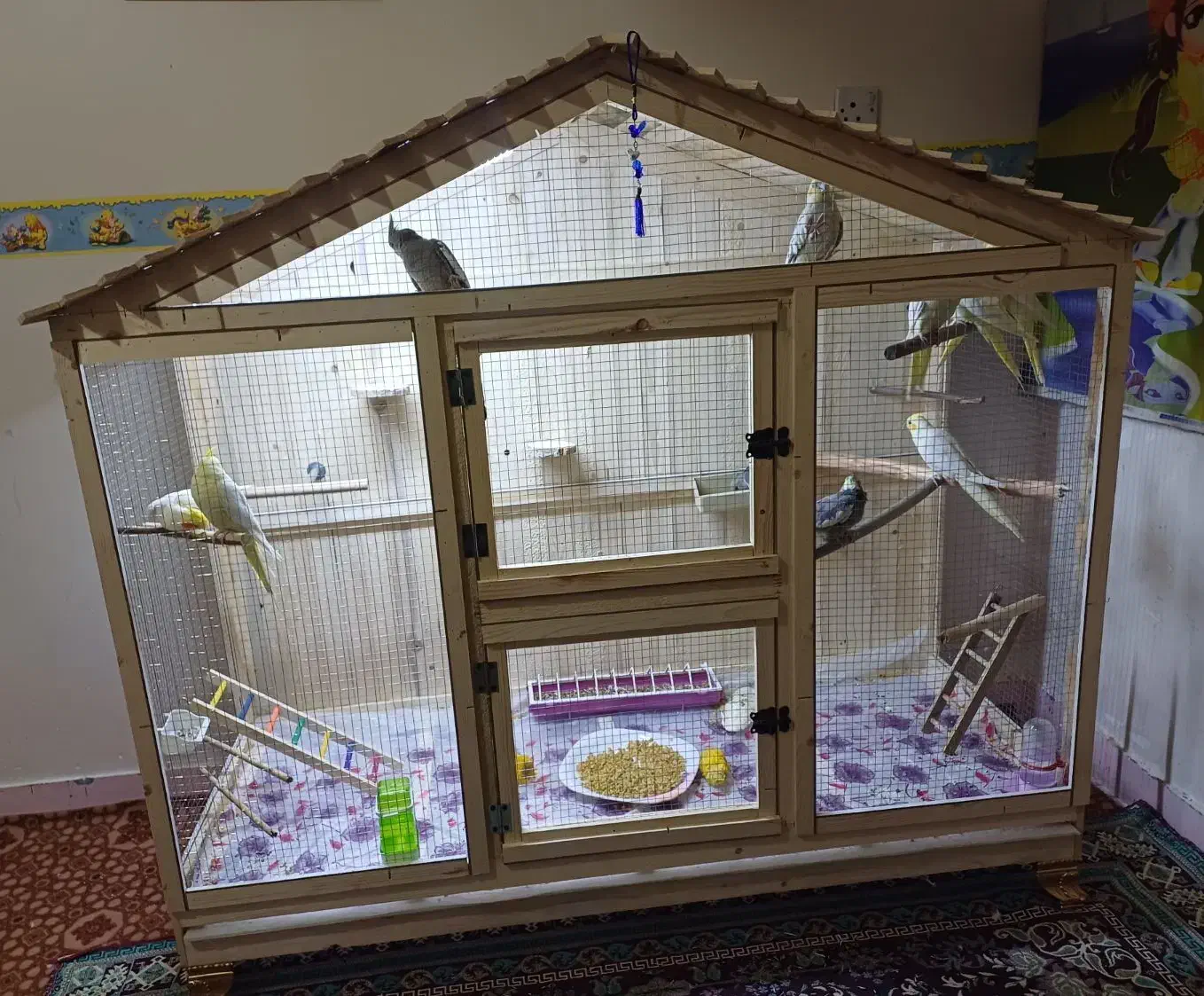 قفس پرنده|لوازم جانبی حیوانات|اهواز, فرهنگ شهر|دیوار