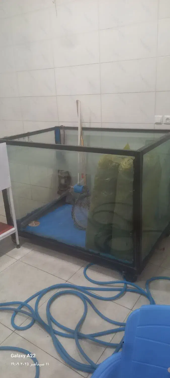 اکواریوم ماهی|ماهی|فارسان, |دیوار