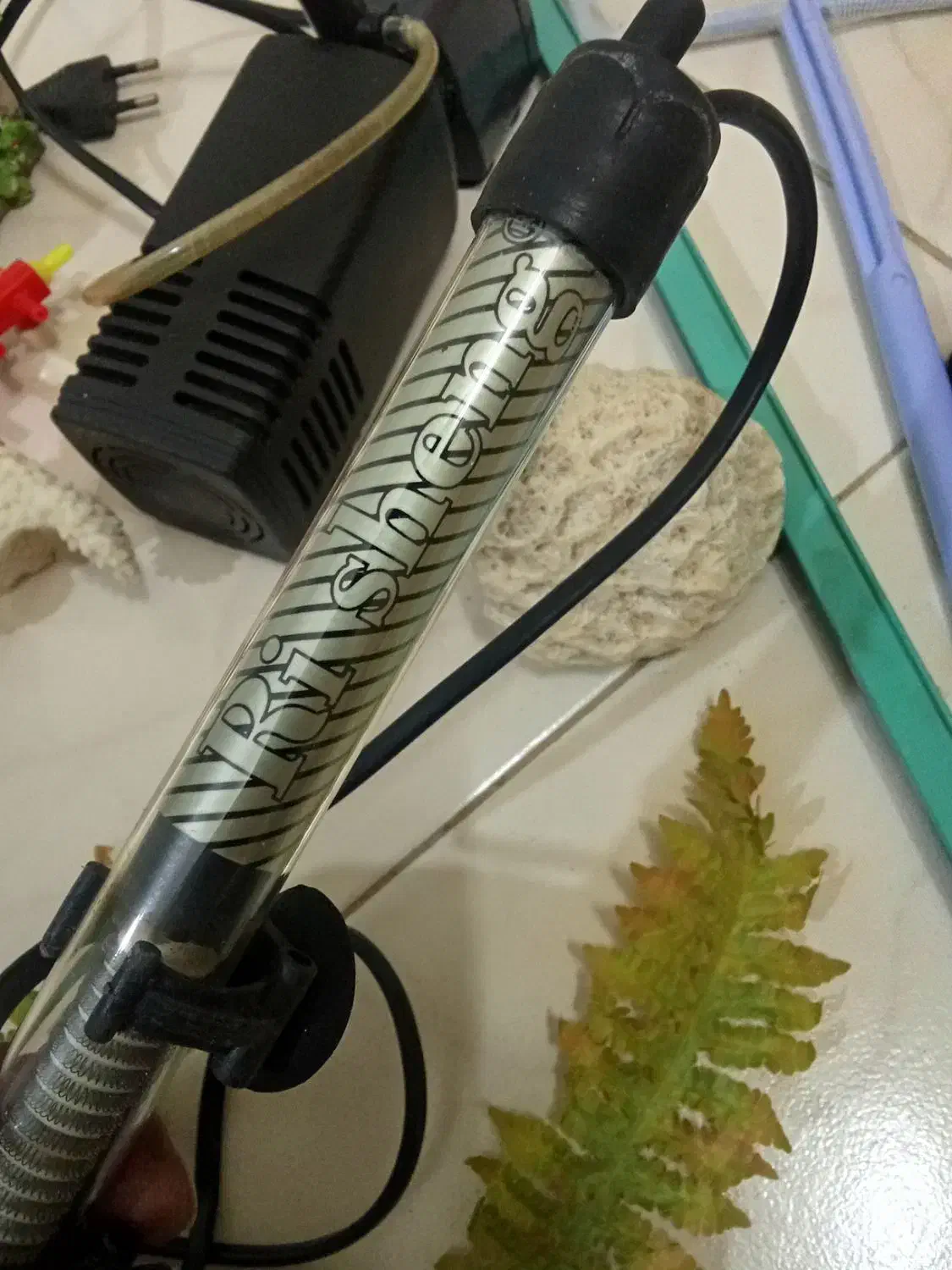 وسایل اکواریوم|ماهی|گلبهار, شهر جدید گلبهار|دیوار