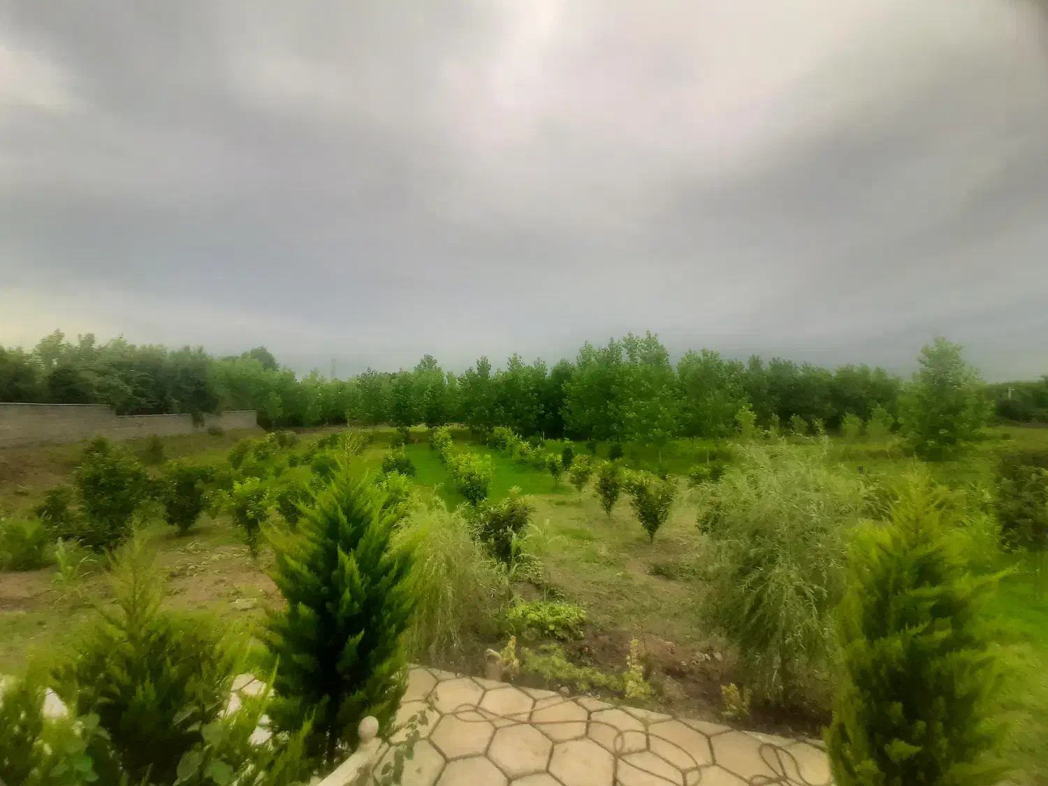 فروش ویلای لوکس 11 هزارمتری 4 خوابه سند تک برگ|فروش خانه و ویلا|گوراب زرمیخ, |دیوار