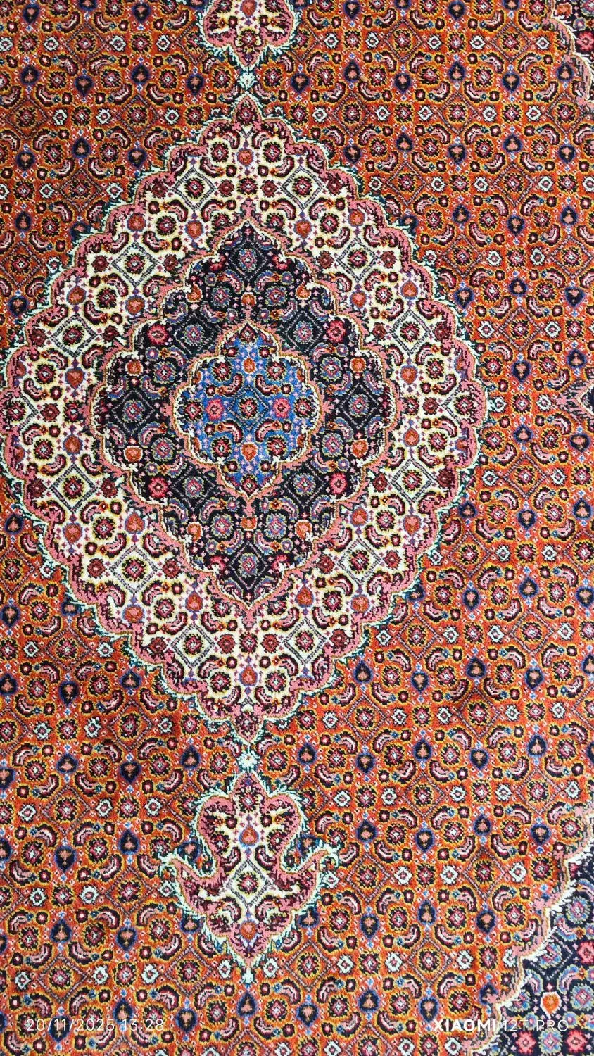 فرش دستباف اردبیل|فرش|اردبیل, |دیوار