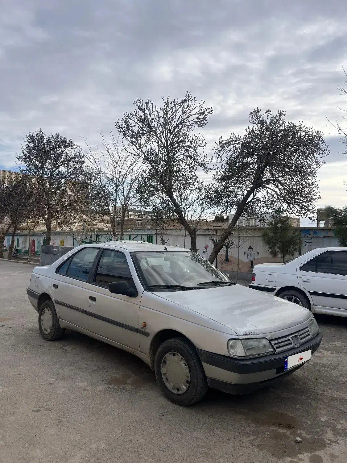 پژو ۹۳|خودرو سواری و وانت|تربت جام, بیست متری منبع آب|دیوار