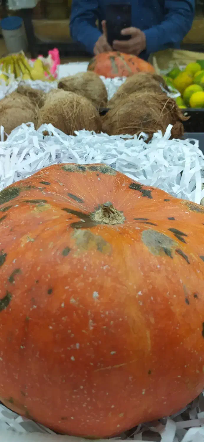 کدو حلوایی|خوردنی و آشامیدنی|مرودشت, فاز دوم شهرک فرهنگیان|دیوار