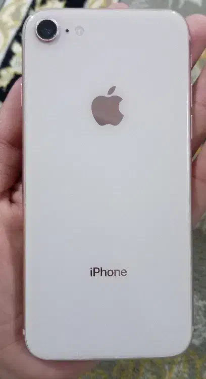 ایفون 8|موبایل|سراوان, |دیوار