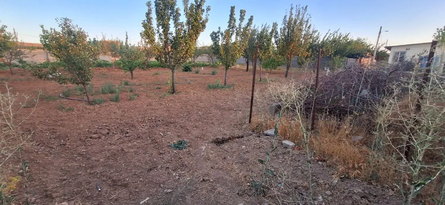 باغ ۱۵۰۰ متری شهرستان خدابنده روستای گوگجه ییلاق|فروش دفتر صنعتی، کشاورزی، تجاری|قیدار, |دیوار