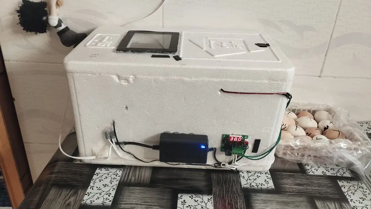 دستگاه جوجه کشی دستساز|لوازم جانبی حیوانات|بن, |دیوار