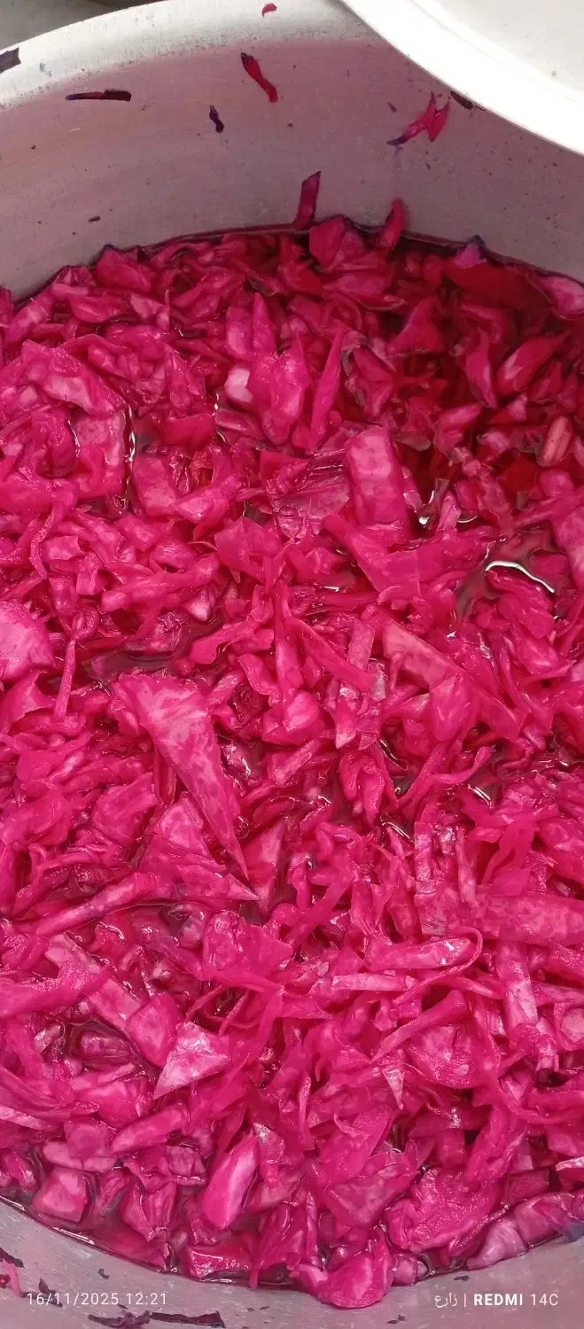 ترشی کلم قرمز  ترد و خوشمزه|خوردنی و آشامیدنی|برخوار, |دیوار