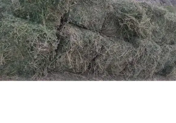 یونجه قالبی|لوازم جانبی حیوانات|کنگاور, |دیوار