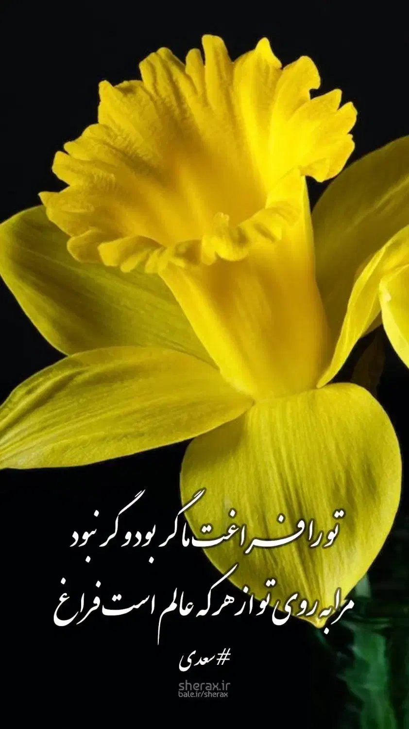 وام|خدمات مالی، حسابداری، بیمه|آسارا, |دیوار