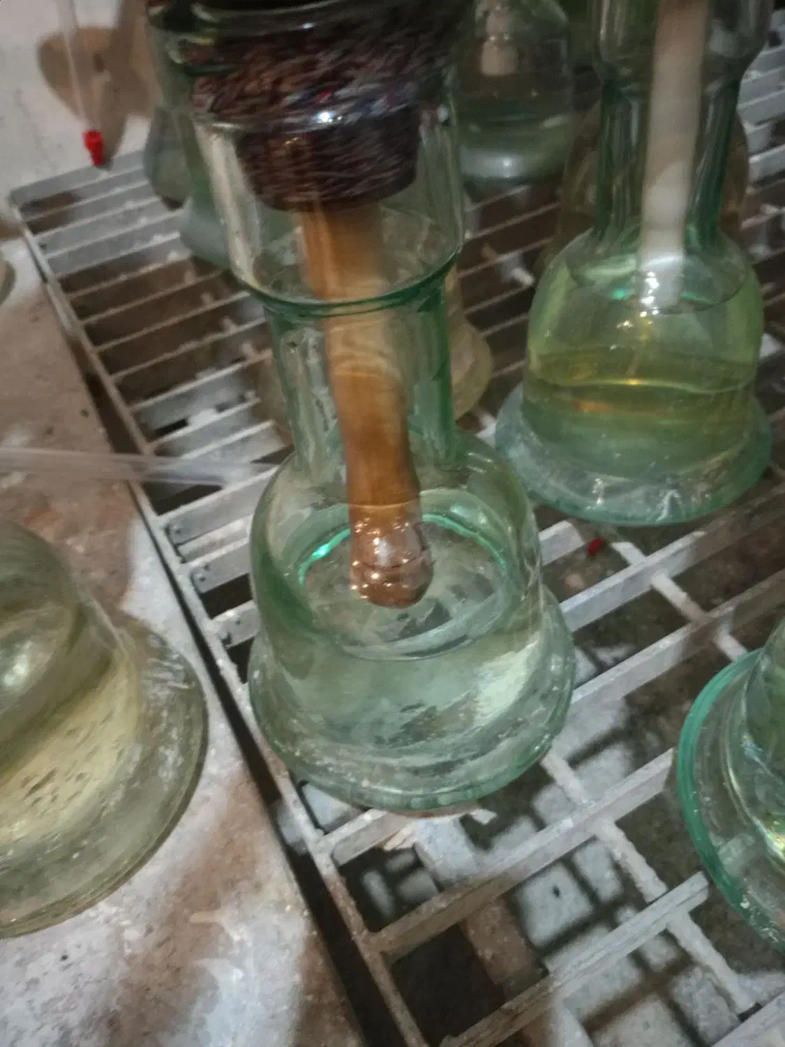 نیروی کار در کافه قلیون زنی تایم صبح|استخدام خدمات فروشگاه و رستوران|دوگنبدان, |دیوار