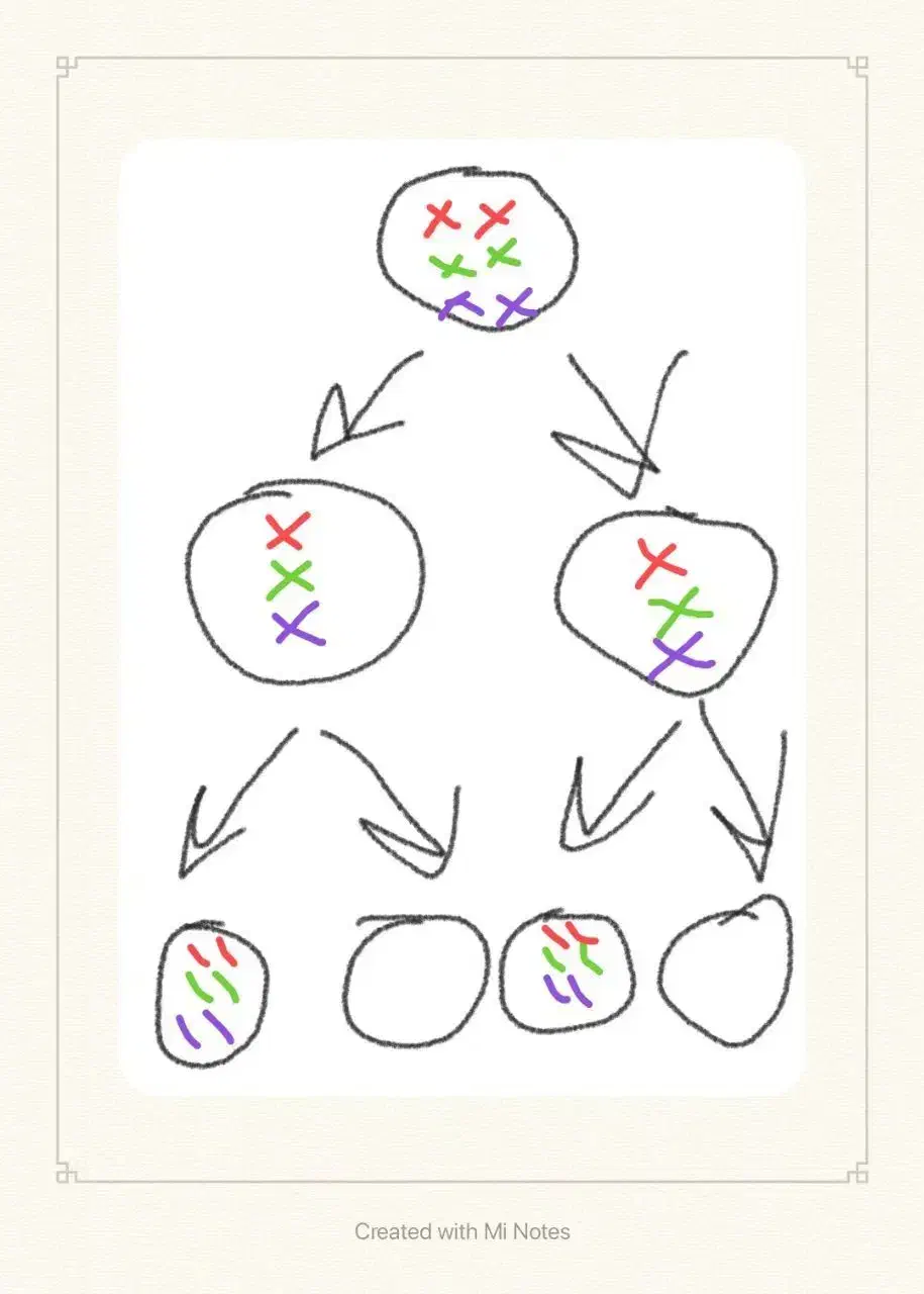 کلاس عمومی و خصوصی اردبیل و حومه|فعالیت داوطلبانه|اردبیل, |دیوار