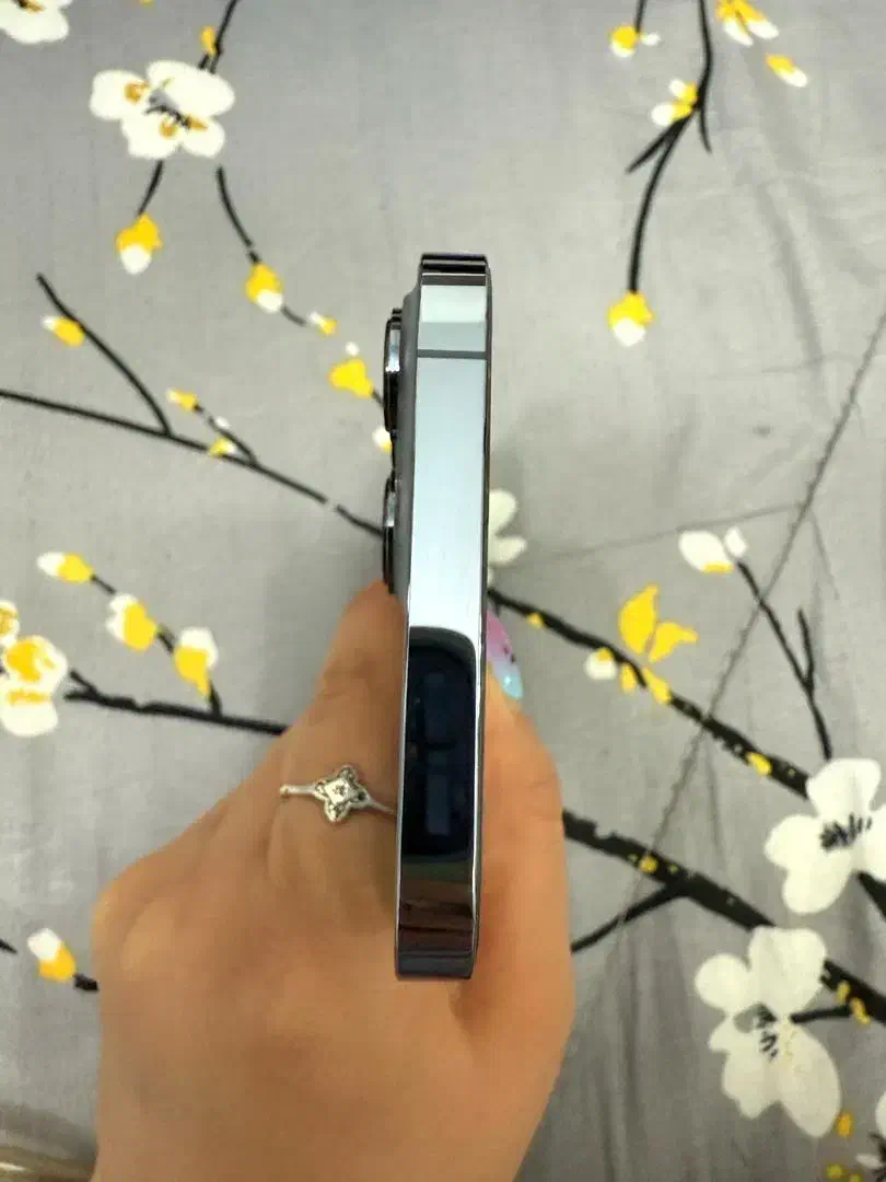 iPhone 13 promax|موبایل|تهران, مهرآباد جنوبی|دیوار