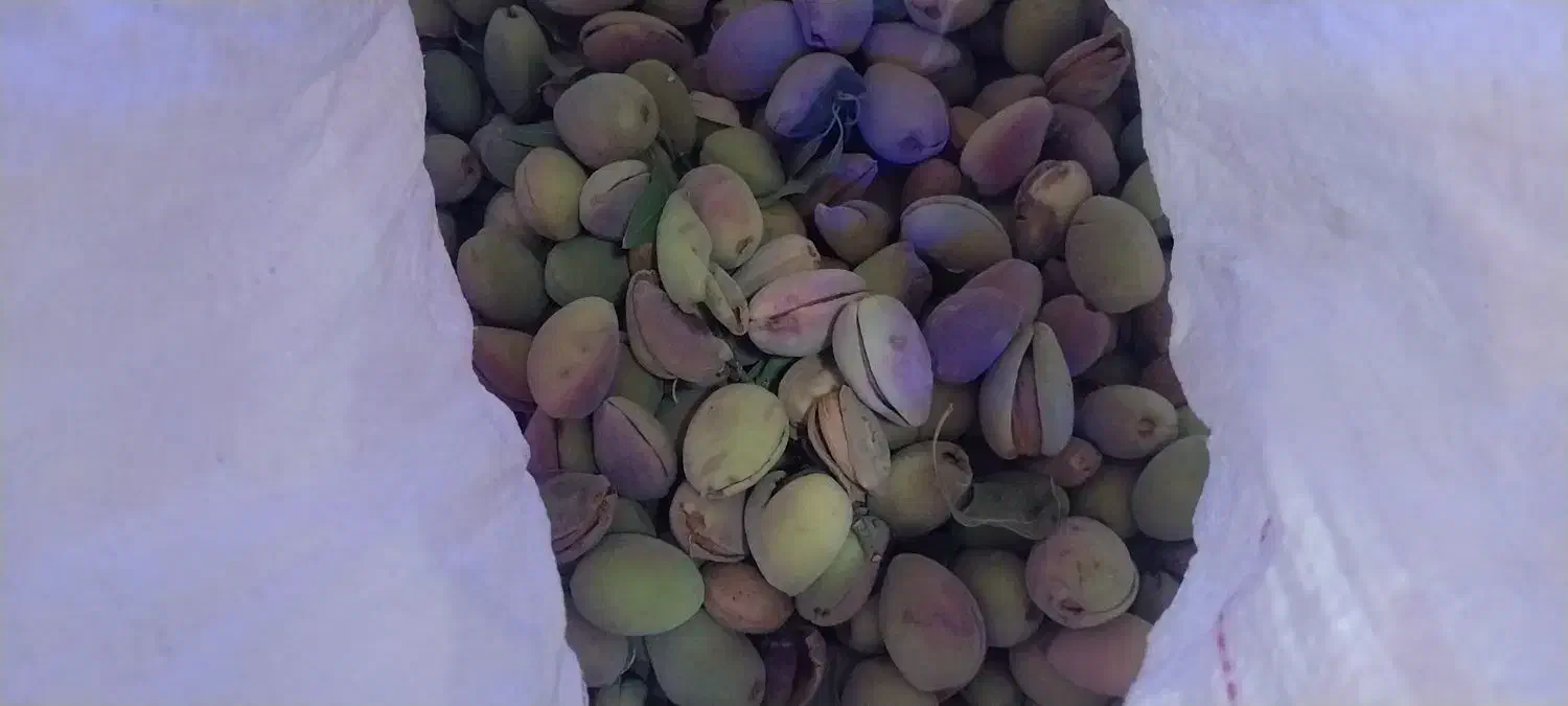 کشمش و بادوم درجه یک|خوردنی و آشامیدنی|قزوین, |دیوار