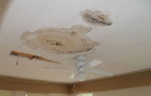 استا گچکار سیمان کاری خورده کاری پذیرفته میشه|خدمات پیشه و مهارت|رفسنجان, |دیوار