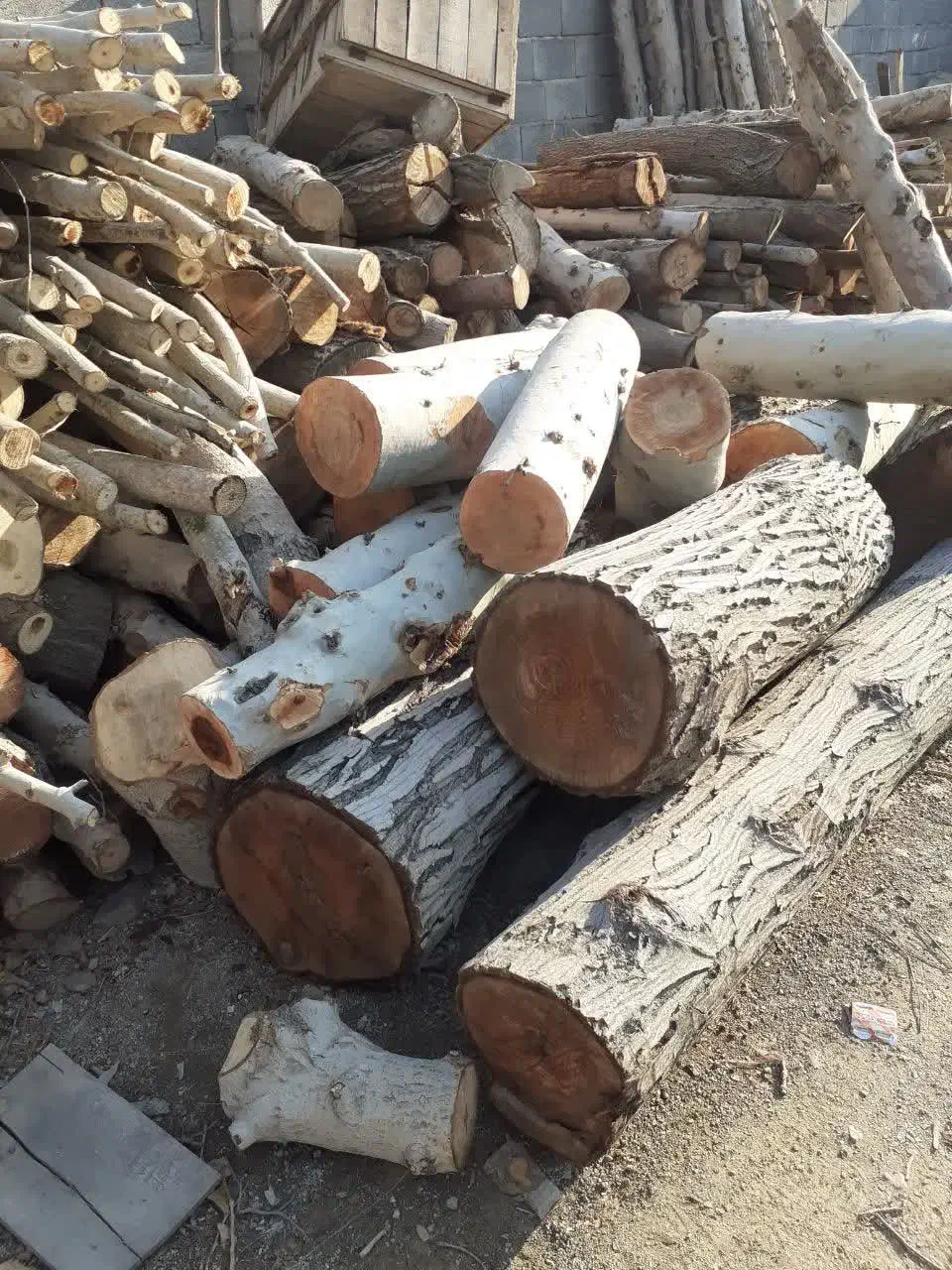 برش و هرس و خرید و فروش درختان باغی و جنگلی|خدمات باغبانی و درختکاری|کرج, کمال‌شهر|دیوار