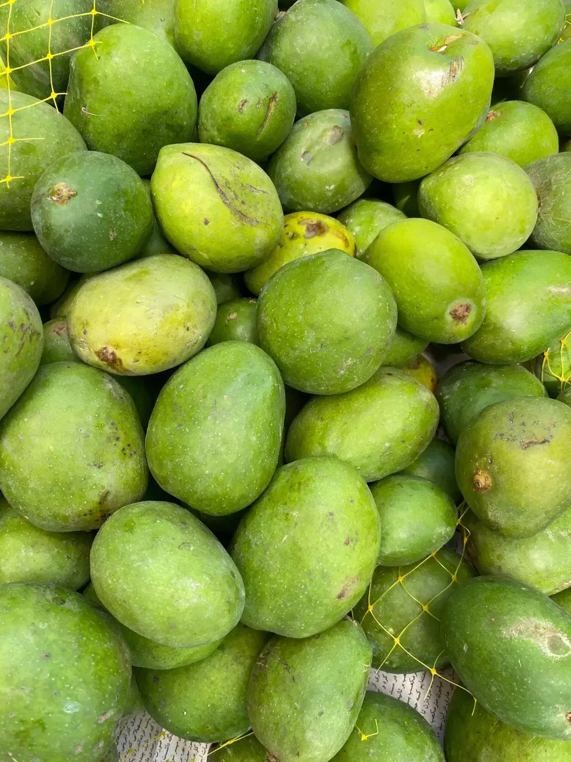 انبه سبز|خوردنی و آشامیدنی|شیراز, وحدت|دیوار