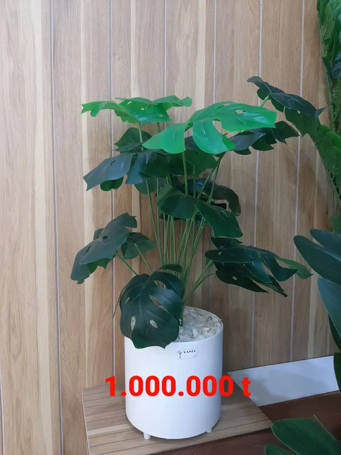 درختچه مصنوعی|گل مصنوعی|خورموج, |دیوار