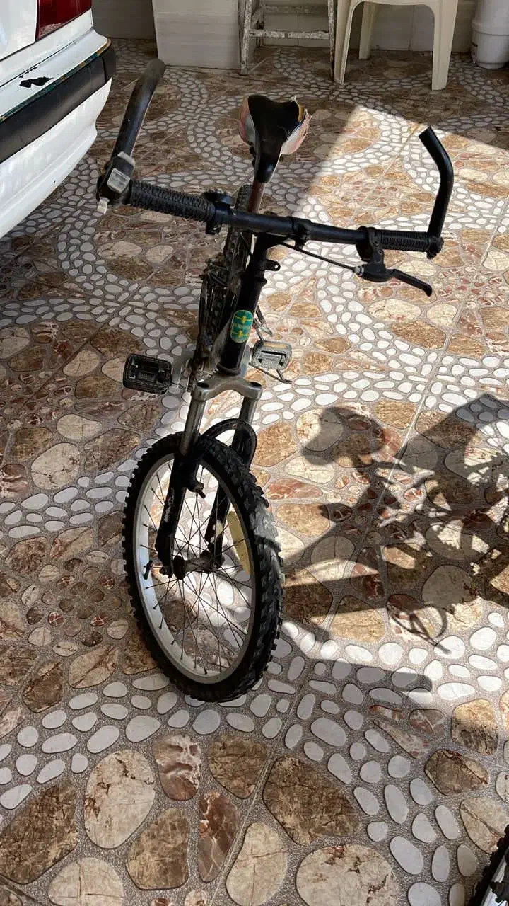 دوچرخه|دوچرخه، اسکیت، اسکوتر|بندر گناوه, |دیوار