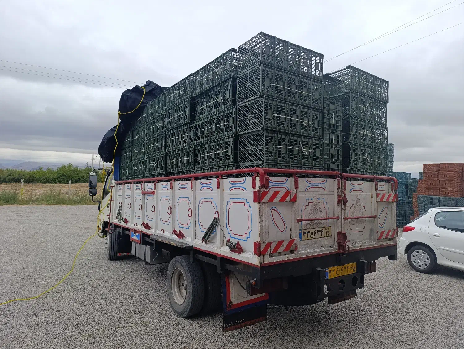 سبد سازی تزریق پلاستیک|ظروف نگهدارنده، پلاستیکی، یک‌بارمصرف|قائم‌شهر, |دیوار