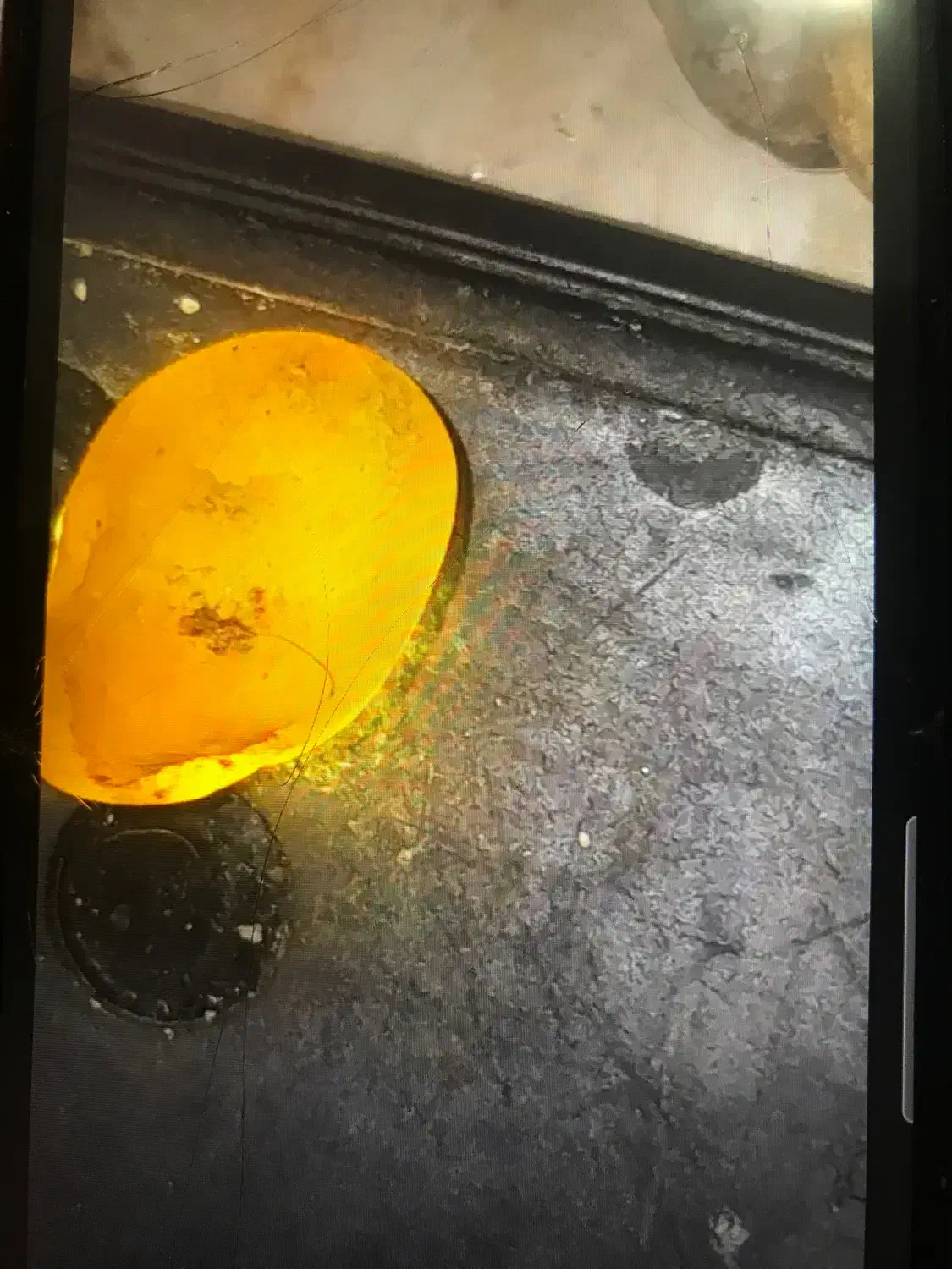 Sang frosh fori|کلکسیون اشیاء عتیقه|قوچان, |دیوار