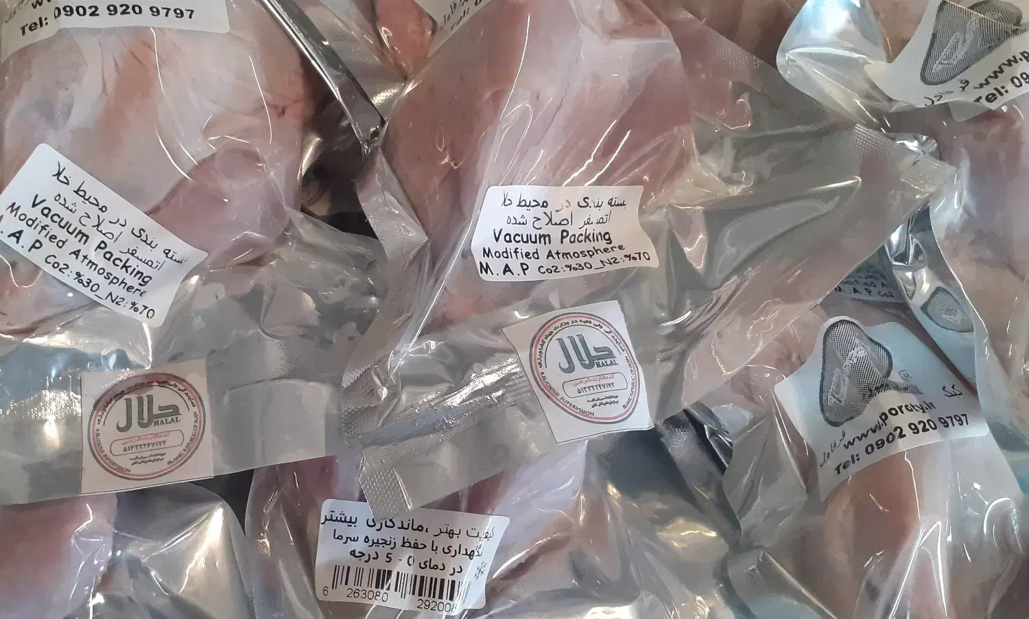 گوشت تازه کشتار روز|خوردنی و آشامیدنی|گلمکان, |دیوار