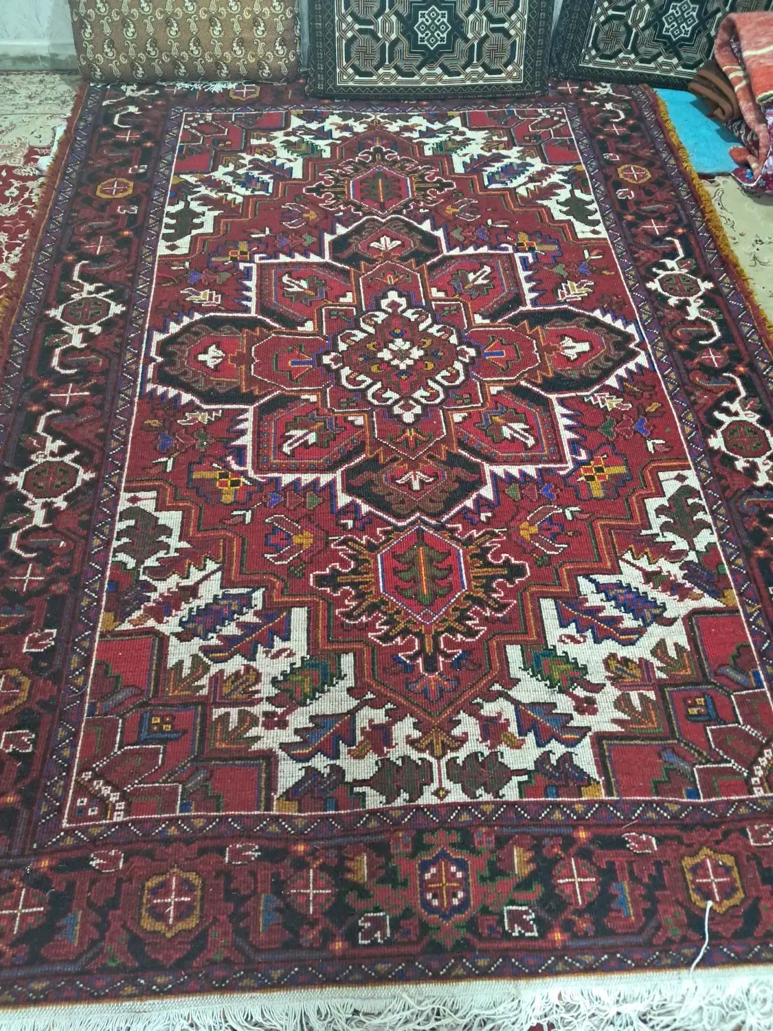 یک جفت فرش دستبافت ۶ متری نقشه هریس|فرش|خواجه, |دیوار