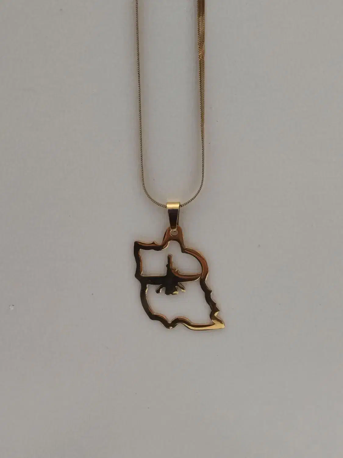 گردنبند طرح ایران و فروهر ارزان تر از همه جا|بدلیجات|کرمان, |دیوار