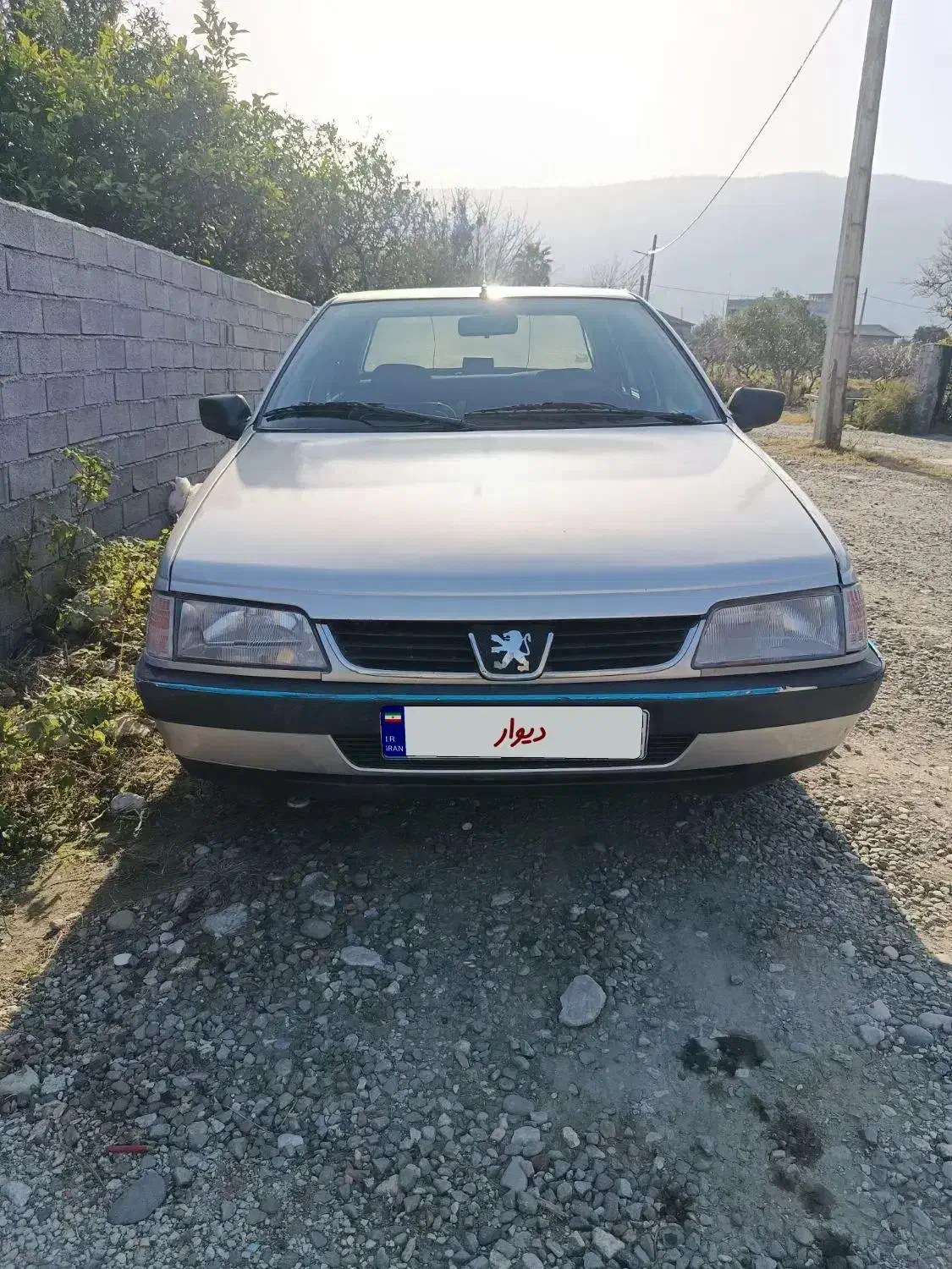 پژو ۴۰۵|خودرو سواری و وانت|چالوس, |دیوار