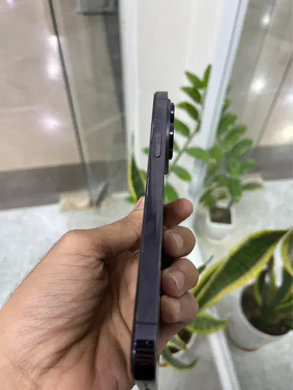 14promax za|موبایل|میناب, |دیوار