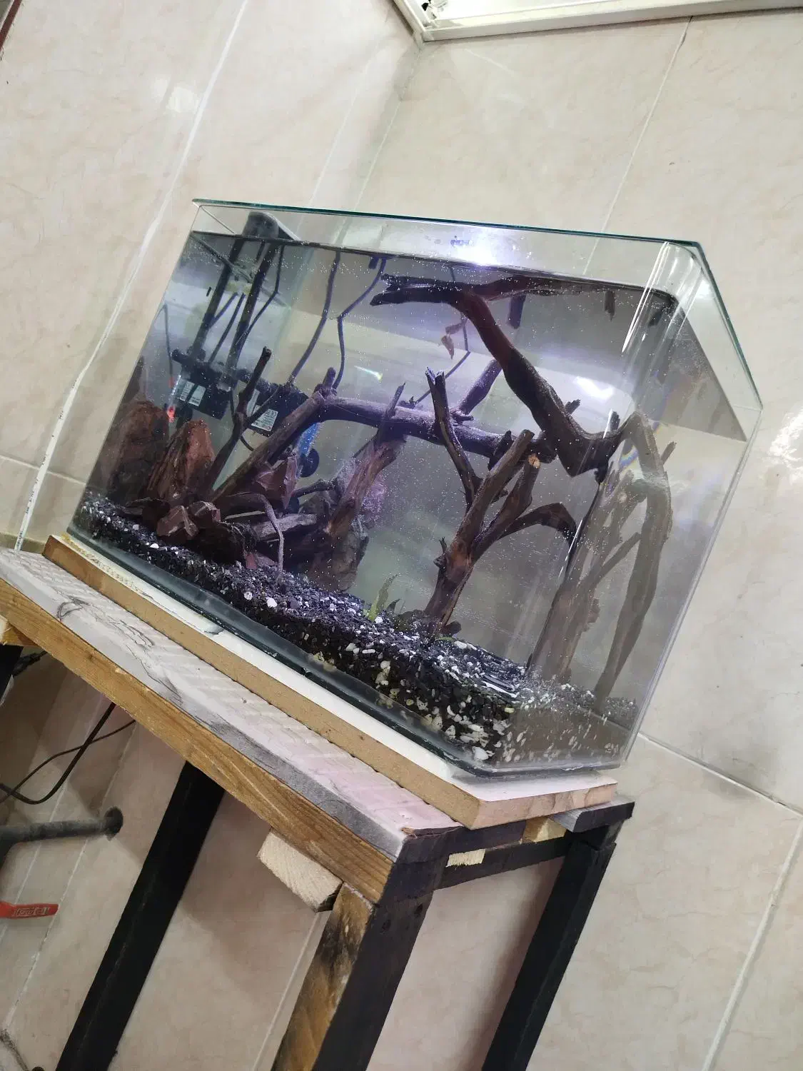 آکواریوم با پایه فروشی یا معاوضه|ماهی|اسلامآباد غرب, |دیوار