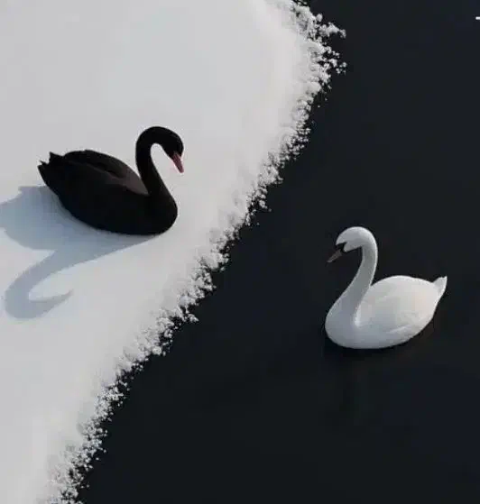 حج تمتع|تور و چارتر|طاغنکوه, |دیوار