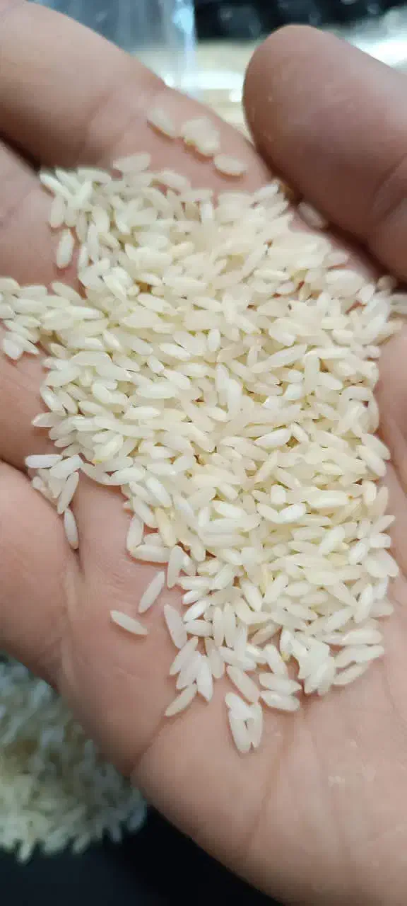 فروش برنج عنبر بو|خوردنی و آشامیدنی|اهواز, نادری|دیوار