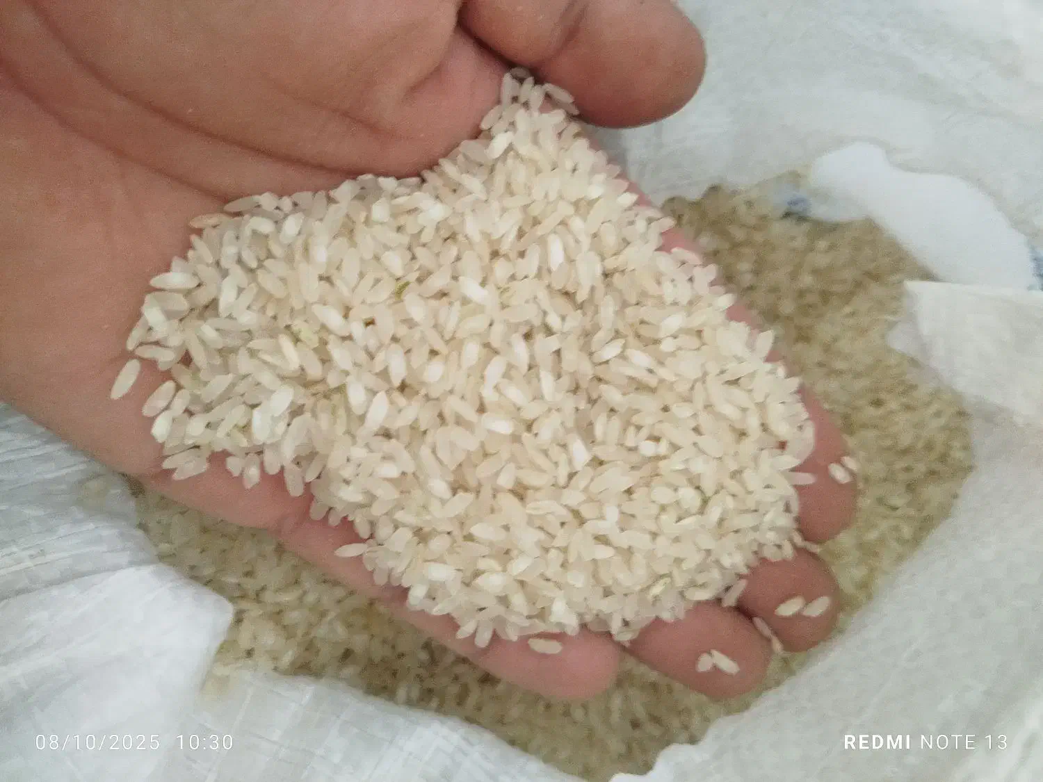 برنج کامفیروزی|خوردنی و آشامیدنی|شیراز, گویم|دیوار