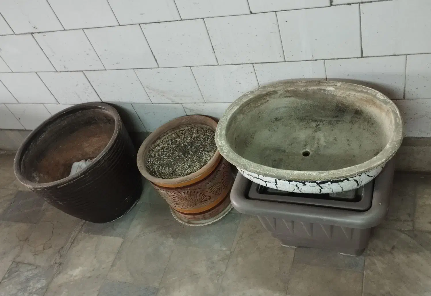 گل شفلرا و گلدان های سفالی و باکس چای|گل و گیاه طبیعی|قزوین, |دیوار