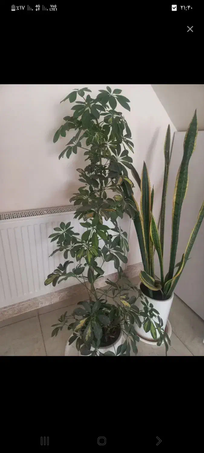 فروش یا معاوضه.منزل خیابان بهشتی بلوار عطار|فروش خانه و ویلا|نجفآباد, شهید بهشتی|دیوار