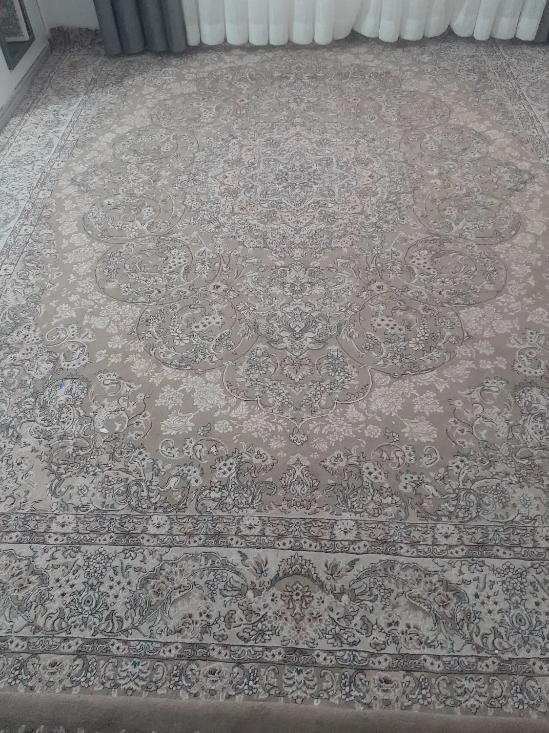 فرش ۱۲ متری|فرش|ساوه, |دیوار