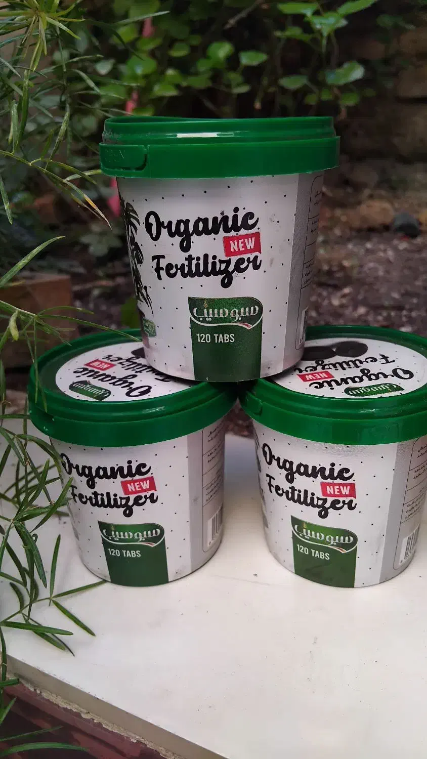 قرص کود گل و گیاه|گل و گیاه طبیعی|ساری, |دیوار