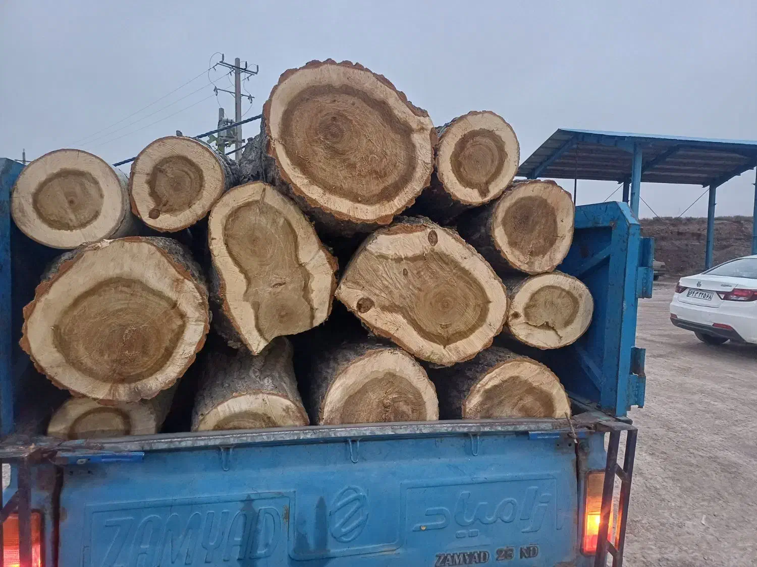 خریدار چوب خشک و تر|خدمات باغبانی و درختکاری|نیر (اردبیل), |دیوار