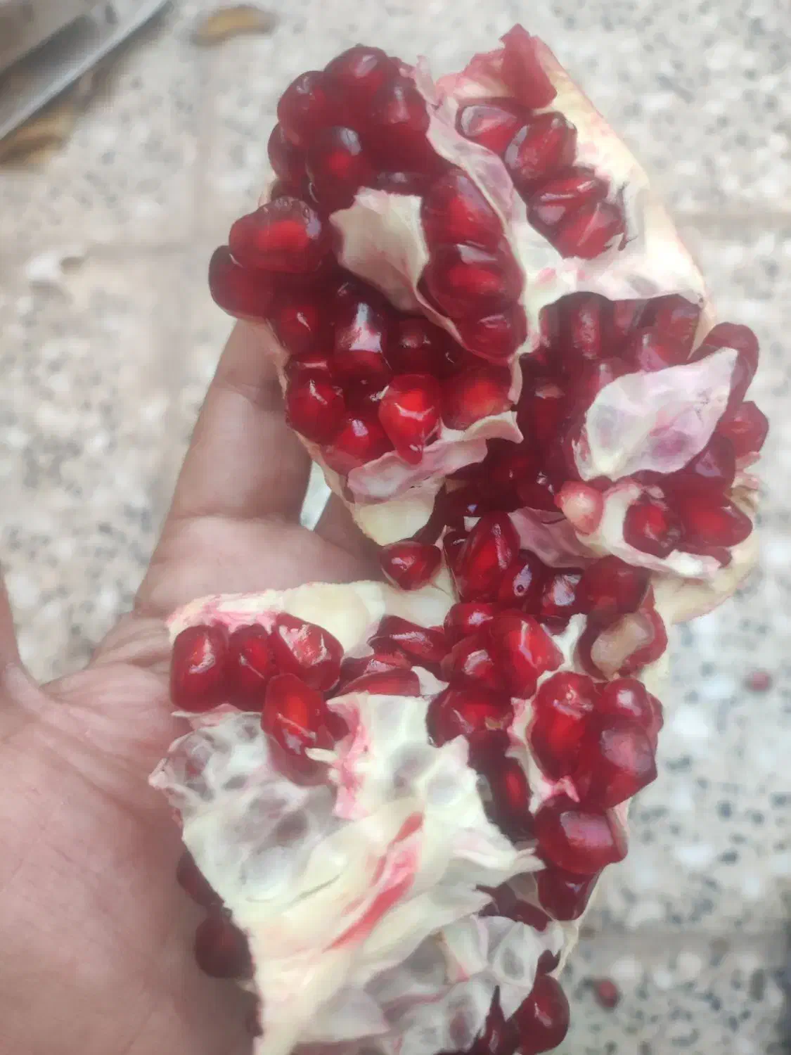 انار اصل عقدا دانه سیاه|خوردنی و آشامیدنی|عقدا, |دیوار