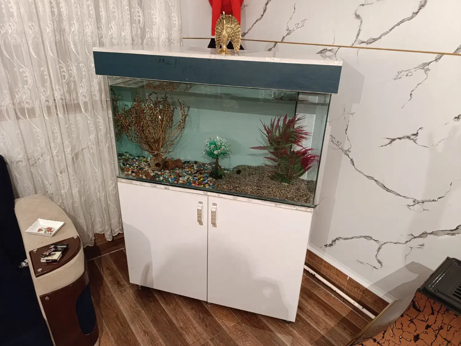 اکواریوم شیشه خم ۱ متری|ماهی|سلماس, |دیوار