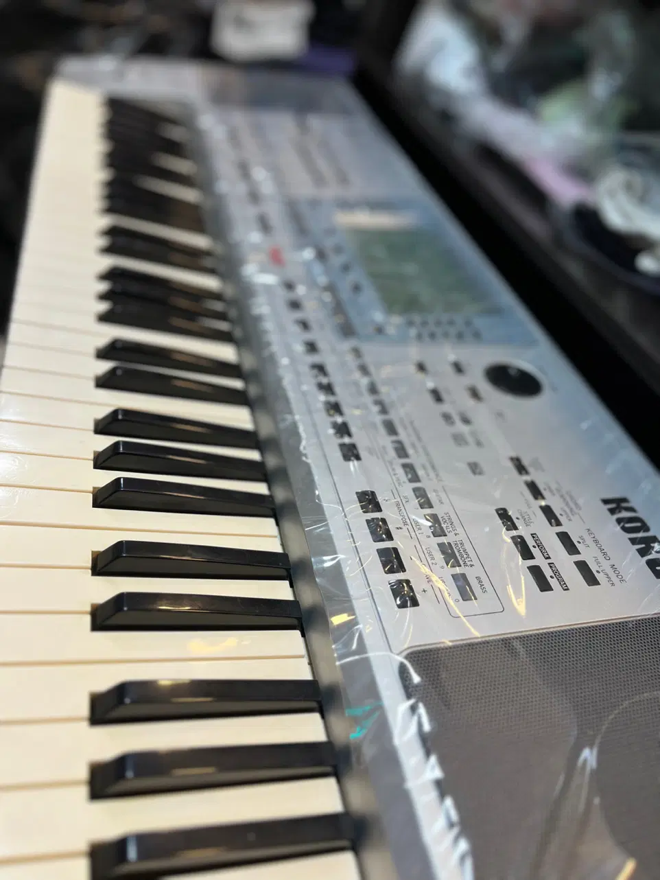 Korg pa50|پیانو، کیبورد، آکاردئون|سبزوار, قائم|دیوار