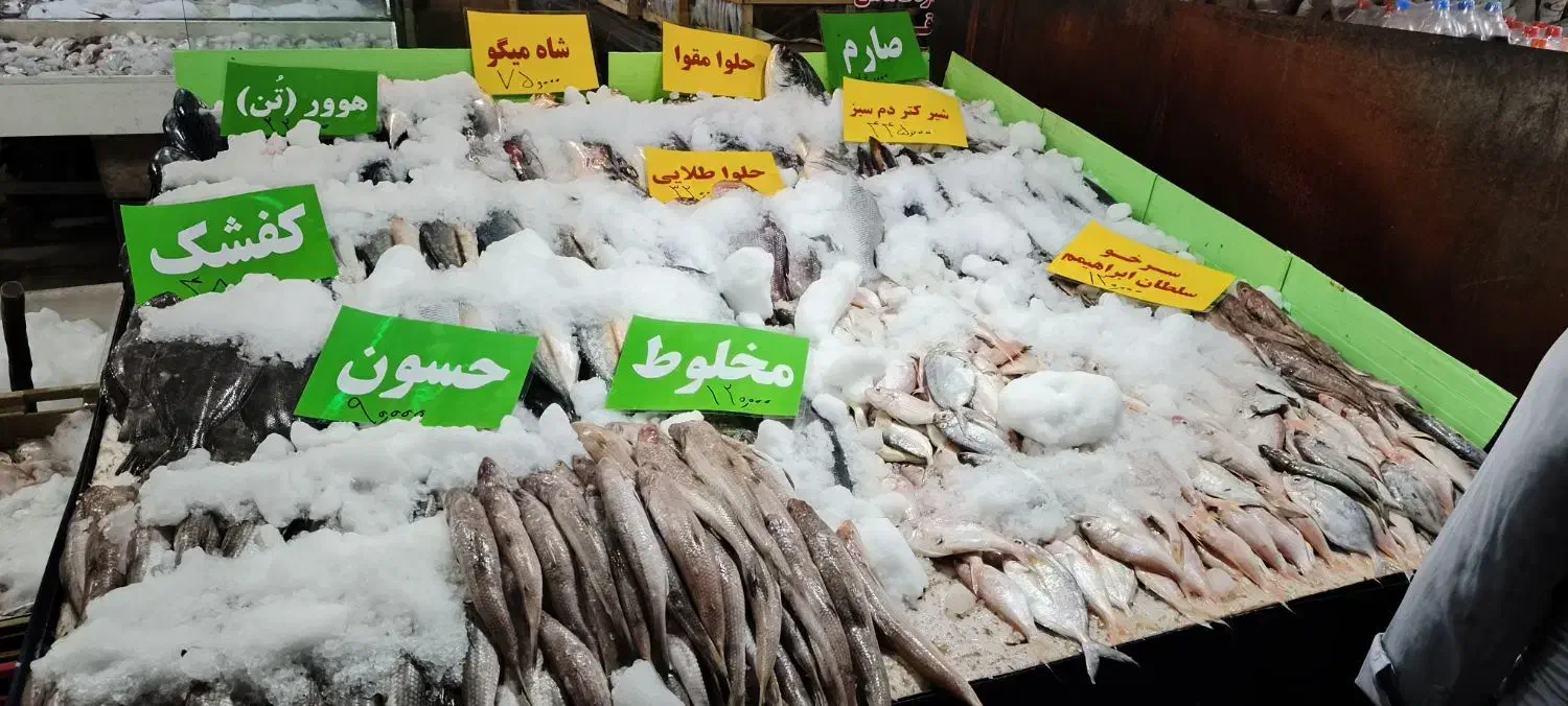 ماهی تازه جنوب رسید|خوردنی و آشامیدنی|کاشان, میدان میوه تره بار|دیوار