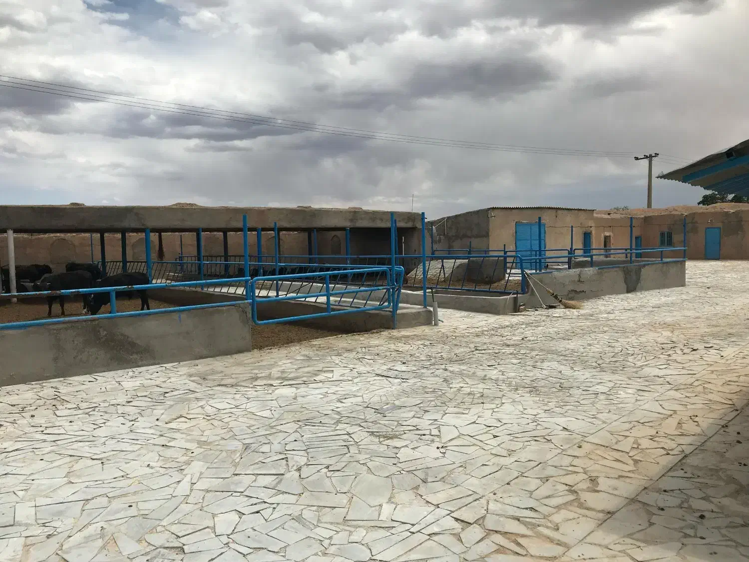 فروش گاوداری مجوزدار در میمه اصفهان|فروش دفتر صنعتی، کشاورزی، تجاری|میمه, |دیوار