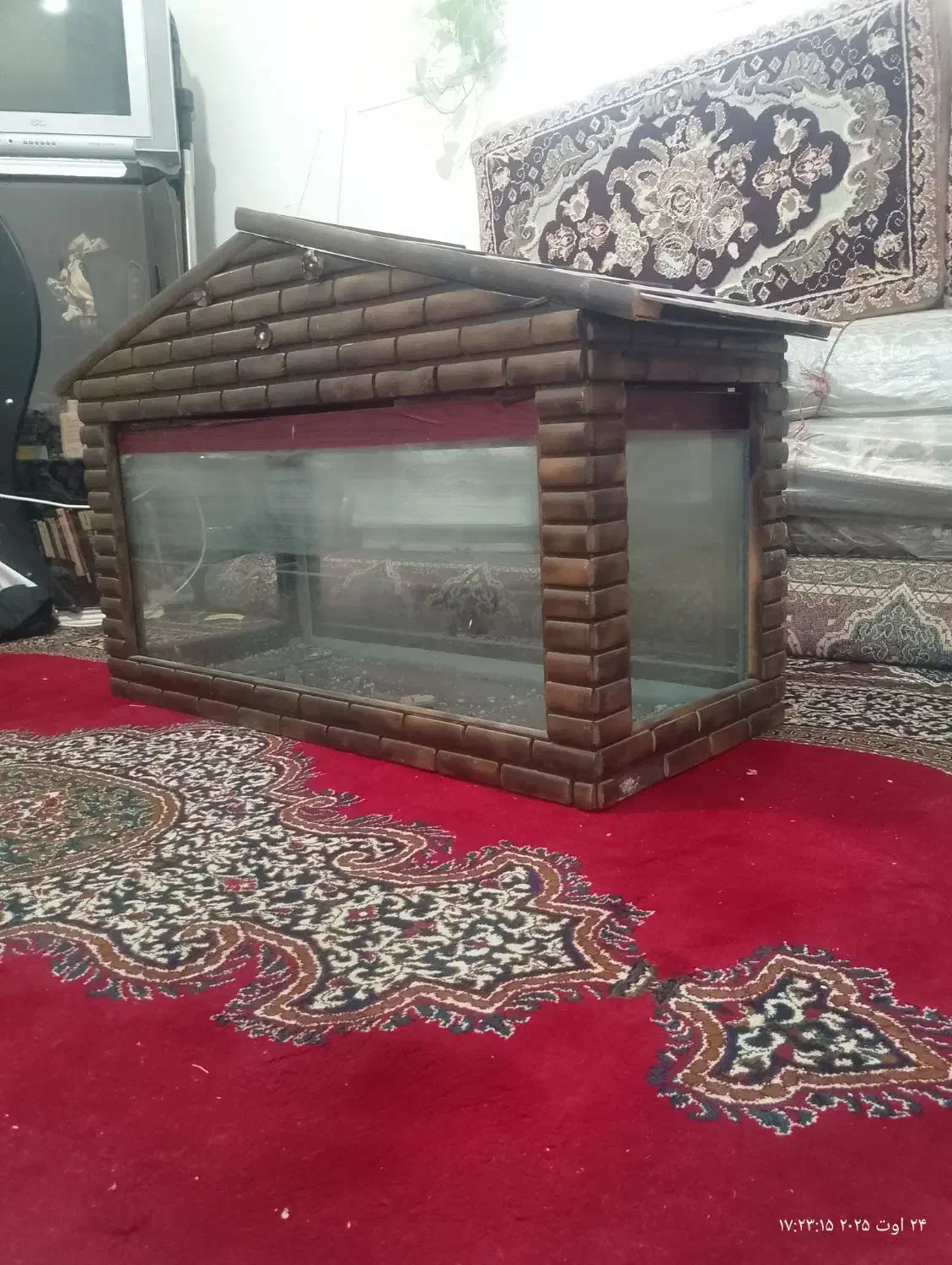 اکواریوم|ماهی|کرمانشاه, |دیوار