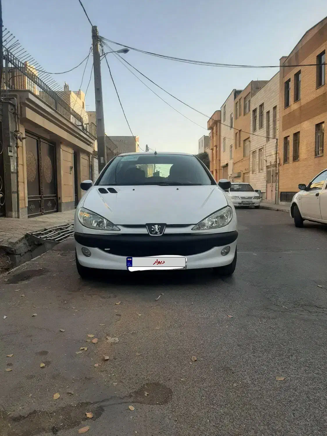 206 sd 94 V8 تک برگ سند|خودرو سواری و وانت|قرچک, شهرک طلائیه|دیوار